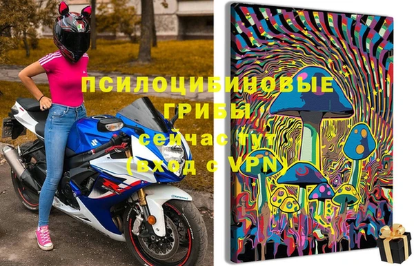 дживик Армянск