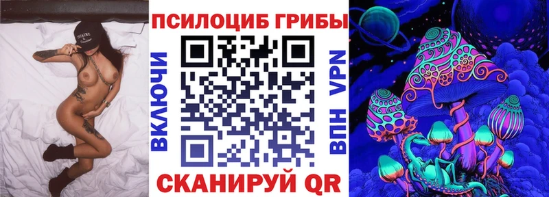 как найти закладки  Куса  Псилоцибиновые грибы Psilocybe 