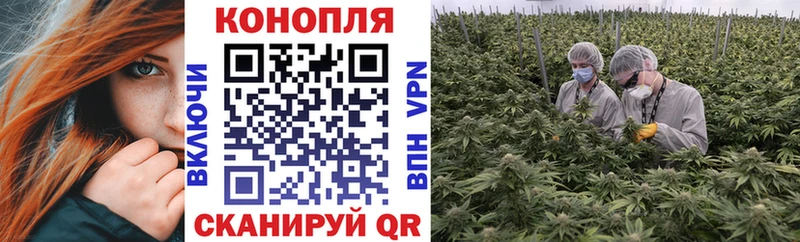 МАРИХУАНА White Widow  закладка  Куса 